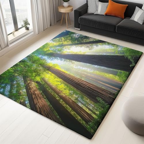 Natur Dschungel Sonnenschein Dekorativer Teppich, Hochwertiger Flächenteppich für Schlafzimmer und Wohnzimmer, 140 x 200 cm, Antibakterieller Faltbar Weich rutschfest für Kinderzimmer Flur, Braun Grün Natur Dschungel Sonnenschein Dekorativer Teppich, Hochwertiger Flächenteppich für Schlafzimmer und Wohnzimmer, 140 x 200 cm, Antibakterieller Faltbar Weich rutschfest für Kinderzimmer Flur, Braun Grün von Generic