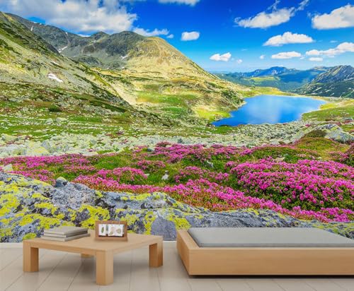 Natur Landschafts Tapete Alpensee Berg Tapeten für Wohnzimmer Grünes Gras Rosa Wildblumen Wandbilder für Schlafzimmer Weiße Wolkenhimmel Tapete Kinderzimmer Tv Hintergrund Großes Wandbild Poster von Generic