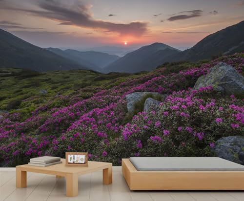 Natur Landschafts Tapeten Sonnenuntergang Berglandschaft Tapete Mädchenzimmer Himmel Wandbild Tapete Berg Tapeten für Mädchen Schlafzimmer Wohnzimmer Wandbild Poster 200X140cm von Generic