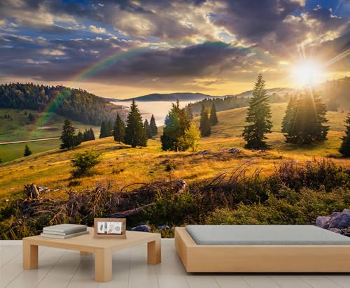 Natur Landschafts Wandbilder Grasland Wald Tapete für Kinderzimmer Berg Tapete Himmel Regenbogen Sonnenuntergang Landschaft Wandtapete für Schlafzimmer Poster Wandbild Wohnzimmer Esszimmer von Generic