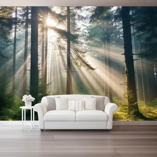 Natur Vlies Fototapete 350 X 256 Cm Grün Wald Morgennebel - 3D Effekt Fototapeten Vliestapete Xxl Wandtapete Motivtapeten Wanddekoration Wohnzimmer Schlafzimmer Natur Vlies Fototapete 350 X 256 Cm Grün Wald Morgennebel - 3D Effekt Fototapeten Vliestapete Xxl Wandtapete Motivtapeten Wanddekoration Wohnzimmer Schlafzimmer von Generic