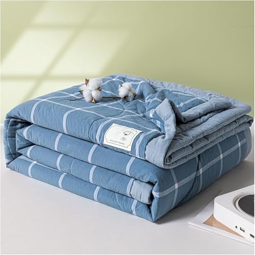Neue Moderne Klimaanlage Baumwolle Quilt - Leichte Decke Gesteppt Frühling/Sommer Dünne Steppdecke Baumwolle Atmungsaktive Bettdecke Plaid Print Quilts Tagesdecke, P, 180x200cm Neue Moderne Klimaanlage Baumwolle Quilt - Leichte Decke Gesteppt Frühling/Sommer Dünne Steppdecke Baumwolle Atmungsaktive Bettdecke Plaid Print Quilts Tagesdecke, P, 180x200cm von Generic