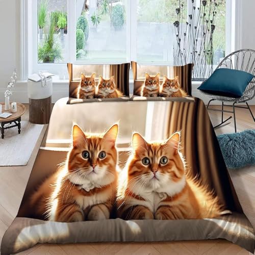 Orange Katze Bettwäsche 200x200 3D Drucken Haustiere Bettwäsche-Sets Weiche Kuschelig Mikrofaser Bettbezug mit 2 Kissenbezüge 80x80 cm mit Reißverschluss b.1871 von Generic