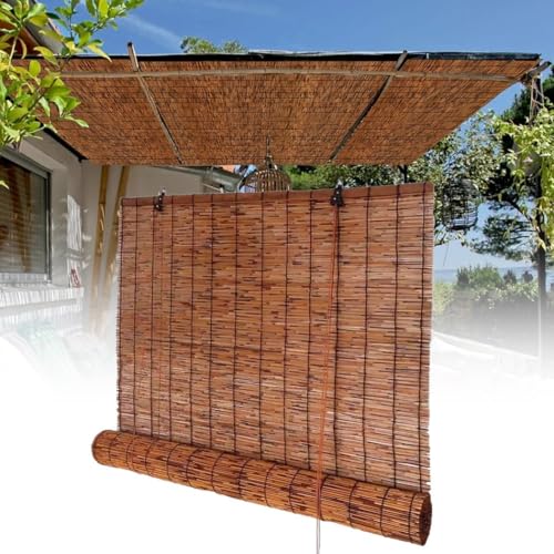 Outdoor Bambusrollo Lichtfilterung Schilf Vorhang Rollo Bambus Handgewebt Mit Lifter, Atmungsaktiv Winddicht Bambusvorhang, Sonnenschutz Hebefensterläden Rollläden 40–170 CM Breit von Generic