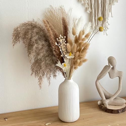 Natural Dried Pampas Grass,Dried Pampas Grass Decoration,6 Varieties Flowers for Vase, Dried Flower Arrangements for Living Room,Garden House, Perfect Wedding, Table Decoration (Boho Blumen) von Generic