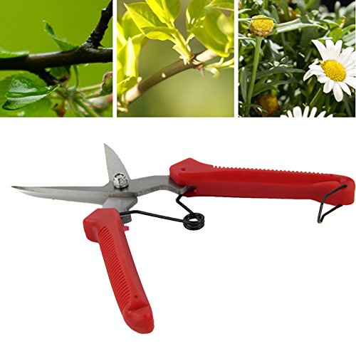 Pflanze Beschneiden Scheren Garten Schere Fruit Flower Tree Pro Ambossschere Garten Cutter scharfe Klinge DIY Hand Gartenschere Werkzeug Pflanze Beschneiden Scheren Garten Schere Fruit Flower Tree Pro Ambossschere Garten Cutter scharfe Klinge DIY Hand Gartenschere Werkzeug von Generic