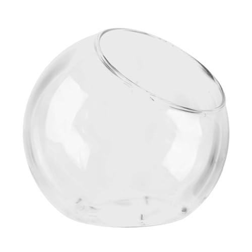 Pflanzenterrarium - Glas für Terrarium, rundes Terrarium aus Glas | Landschaftsglasvase für Terrarium, Vase für Terrarium mit Topf, moderner Glastopf von Generic