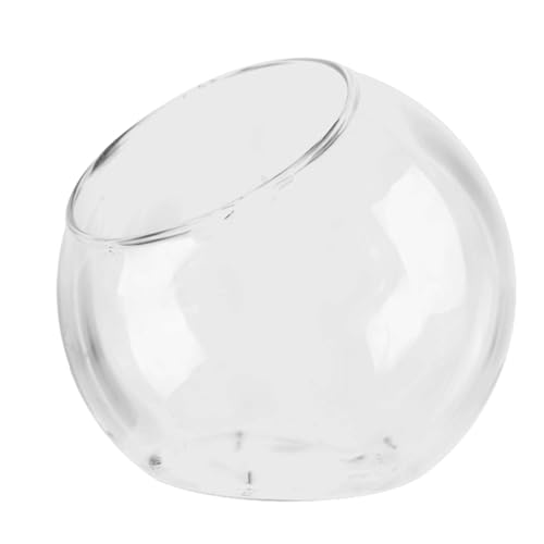 Pflanzenterrarium aus Glas – runde Vase aus Blumentopf, Pflanzgefäß aus Glas | Stilvoller dekorativer Blumenständer für Sukkulenten und Minia-Gärten von Generic