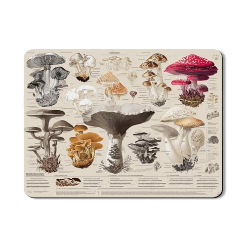 Pilz-Abtropfmatten für Küchentheke, Vintage-Design, saugfähiges Gummi-Abtropfgestell, Herbsternte, Küchenschutz, 45,7 x 61 cm von Generic
