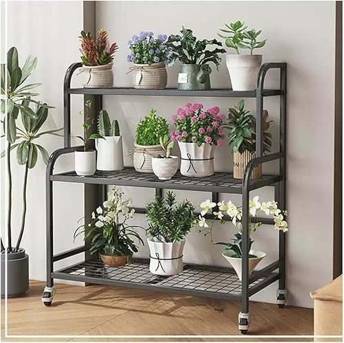 Plant Stand Plant Regal Metall Flower Cart, Heavy Duty Metall Outdoor Plant Stand Halter Rack Plant Stand Tisch Mit Rädern für Wohnzimmer Balkon Und Garten+(Size:3-layer-83 * 36 * 90CM,Color:Schwarz) Plant Stand Plant Regal Metall Flower Cart, Heavy Duty Metall Outdoor Plant Stand Halter Rack Plant Stand Tisch Mit Rädern für Wohnzimmer Balkon Und Garten+(Size:3-layer-83 * 36 * 90CM,Color:Schwarz) von Generic