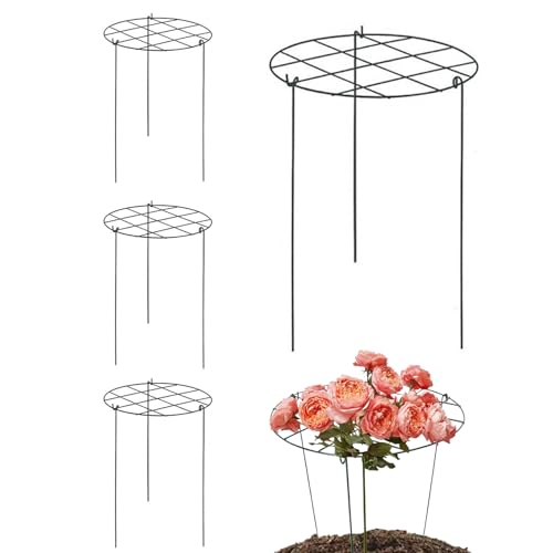 Post Peone, Post Ring – 4 Stück Metall: Dieser abnehmbare Gartenrahmen, der schnell ohne Werkzeug installiert werden kann, Ring, vertikaler Blumenschutz, Zubehör von Generic