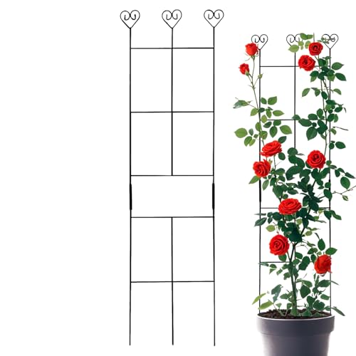 Rankhilfe für Kletterpflanzen | Kletterpflanzenstütze Garten Outdoor Rankhilfe | Stäbe Unterstützung Gartenzubehör für Innen Blume Monstera Efeu Tomate Gurken Rebe Rankhilfe für Kletterpflanzen | Kletterpflanzenstütze Garten Outdoor Rankhilfe | Stäbe Unterstützung Gartenzubehör für Innen Blume Monstera Efeu Tomate Gurken Rebe von Generic