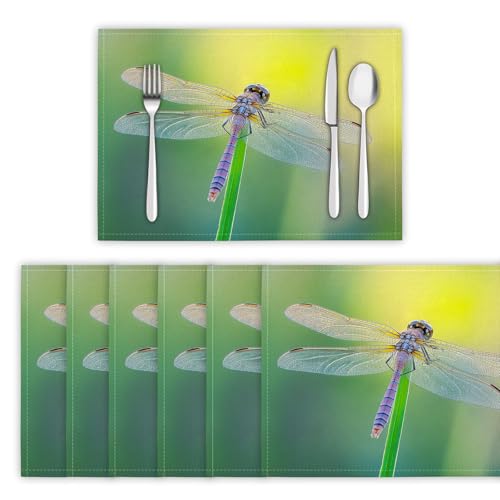 Realistische Libelle Tier Platzsets 2 er Set45x30cm Urlaub Bankett Tischsets Waschbar Platzdeckchen Küche Party Deko abwaschbar & rutschfest Platzset Realistische Libelle Tier Platzsets 2 er Set45x30cm Urlaub Bankett Tischsets Waschbar Platzdeckchen Küche Party Deko abwaschbar & rutschfest Platzset von Generic