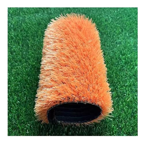 Realistischer Kunstrasen Für Haustiere Natürlich Aussehender Garten-Hund Orange Kunstrasenmatte Mit Drainagelöchern Für Balkon Und Garten(20x79IN) von Generic