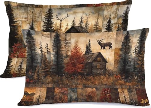 Retro Kissenbezug 30 x 50 Bauernhaus Kissen 30x50, Leinen KopfKissenbezug 2er Set Kissenbezüge mit Reißverschluss, Zierkissenbezüge Seitenschläferkissen Bezug Dekokissen, für Deko Wohnzimmer R-264 Retro Kissenbezug 30 x 50 Bauernhaus Kissen 30x50, Leinen KopfKissenbezug 2er Set Kissenbezüge mit Reißverschluss, Zierkissenbezüge Seitenschläferkissen Bezug Dekokissen, für Deko Wohnzimmer R-264 von Generic