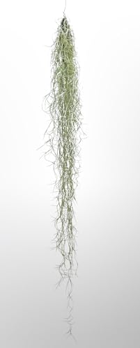 Riesiger Strauß Spanisches Moos XL 100 cm. von Generic