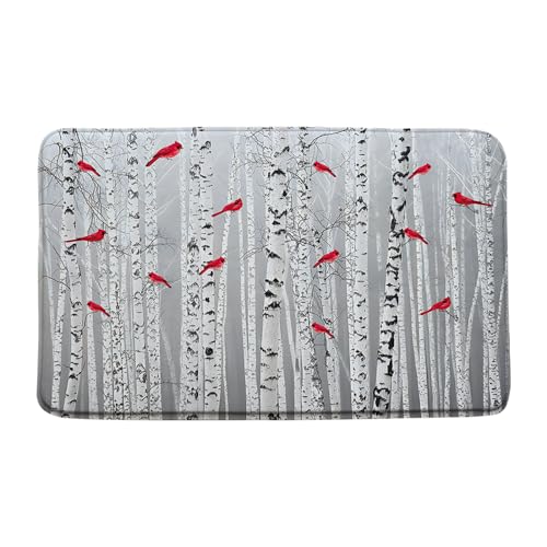 Robust Badteppich Fußmatte Waschbare Matte 40×60cm für Außenbereich,Hintertür,Küche von Generic