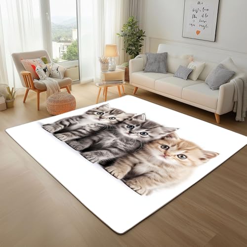 Rugs for Living Room - Teppich Kurzflor Tiere Katze Cremefarben Teppich Flauschig Süße Katze Waschbare Teppiche für Wohnzimmer Schlafzimmer Jugendzimmer Bettvorleger 200x300cm Rugs for Living Room - Teppich Kurzflor Tiere Katze Cremefarben Teppich Flauschig Süße Katze Waschbare Teppiche für Wohnzimmer Schlafzimmer Jugendzimmer Bettvorleger 200x300cm von Generic