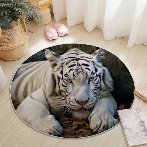 Rund Teppich 180 cm Tiere Weißer Tiger Streifen Teppiche Plüsch Flauschig Weich Teppich Waschbar Modern Wohnzimmer Schlafzimmer Kinderzimmer Dekorative Küche Fußmatte Weiß Rund Teppich 180 cm Tiere Weißer Tiger Streifen Teppiche Plüsch Flauschig Weich Teppich Waschbar Modern Wohnzimmer Schlafzimmer Kinderzimmer Dekorative Küche Fußmatte Weiß von Generic