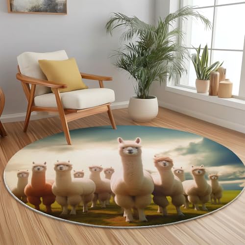 Runder Teppiche 120 cm Natur Alpaka Wiese Waschbarer Runder Teppich rutschfest Fusselfrei Niederflor Für Wohnzimmer Kinderzimmer Schlafzimmer Couchtisch Beige Runder Teppiche 120 cm Natur Alpaka Wiese Waschbarer Runder Teppich rutschfest Fusselfrei Niederflor Für Wohnzimmer Kinderzimmer Schlafzimmer Couchtisch Beige von Generic