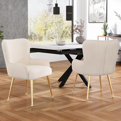 Samt-Esszimmerstuhl, 2er-Set, luxuriös, Wohnzimmer, Schlafzimmer, Lounge-Stuhl mit Vier Goldene Metallstützbeinen, Mit Armlehnen und verstellbaren Füßen, Lendenwirbelstütze,Beige von Generic