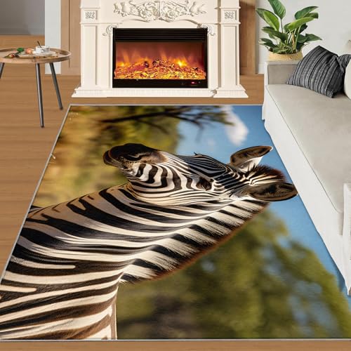 Schwarz-Weißes Zebra Teppich Grüne Graslandlandschaft Kinderzimmerteppiche Graslandzebra 100x140 Rug Tier Vorleger Rutschfester Teppich Für Stark Frequentierte Bereiche von BEQUTIY