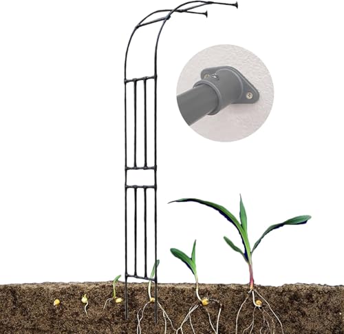 Schwarzer Gartenkletterbogen 60x240cm Halbseitiges Spalier Torbogen Für Rosen Reben Stützgestell Verzinktes Rohr 20mm Metall Gartenlaube Rosenbogen, Black,Rose, 60x240cm/2.0x7.9ft von Generic