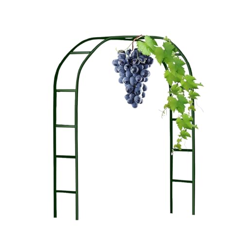 Schwer Rosenbogen Verzinkt Gartenbogen Pergola aus Metall Stabil Hochzeitsbogen Rankgitter, Torbogen Rankhilfe für Kletterpflanzen 120cm 140cm 180cm 200cm 240cm 280cm(Green,W0.8 x H2.0m) von Generic