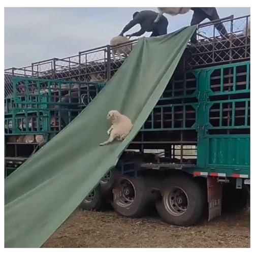 Schwerlast-Ladungsrutsche Entladeförderer Für Große Höhen Verschleißfeste Plane, Temporäre Entlademöglichkeit Für Lagerhallen Zum Be- Und Entladen Von Gütern(2x35m) von Generic