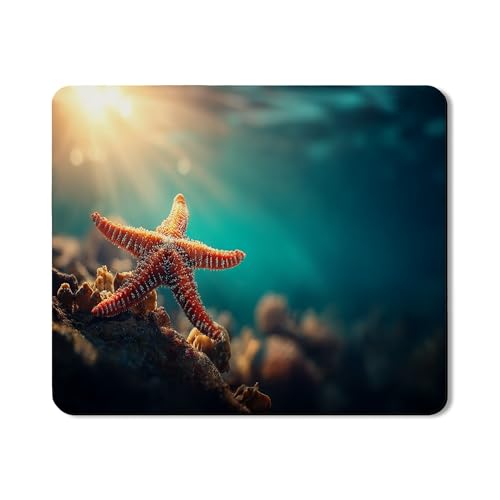 Seestern-Waschtrockner-Schutzmatte, Ozean-inspiriertes nautisches Design, Sommer-Strand-Dekor, Gummi, rutschfest, wasserdicht, Wasch- und Trockner-Matten für Waschküche, 50,8 x 61 cm Seestern-Waschtrockner-Schutzmatte, Ozean-inspiriertes nautisches Design, Sommer-Strand-Dekor, Gummi, rutschfest, wasserdicht, Wasch- und Trockner-Matten für Waschküche, 50,8 x 61 cm von Generic