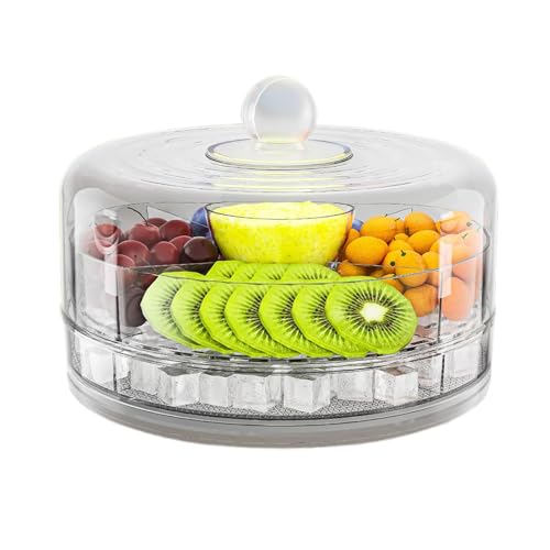 Serviertablett mit Kühlfunktion – eisgekühlte Servierplatte, Tablett für kalte Lebensmittel mit Deckel | Salad Tray, Chiller als Aperitif, Eis-Snack-Server, Display-Tablett von Generic