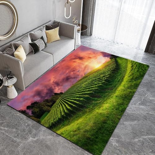 Sonnenuntergang Prärielandschaft -Druck 3D-Teppich Für Wohnzimmer, Flanellteppich, 200 X 300 cm Schlafzimmerteppich, Badematte, Heim, Moderne Für Küche Flur Esszimmer Eingangs -9611162493463 Sonnenuntergang Prärielandschaft -Druck 3D-Teppich Für Wohnzimmer, Flanellteppich, 200 X 300 cm Schlafzimmerteppich, Badematte, Heim, Moderne Für Küche Flur Esszimmer Eingangs -9611162493463 von Generic