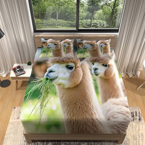 Spannbettlaken Bedrucktes Bunt Weiche Spannbetttuch Mikrofaser 140 x 200 cm Pflegeleichtes Flauschiges Alpaka Thema Winterliche dekorative Bettwäsche - Tiefe Tasche 30 cm Spannbettlaken Bedrucktes Bunt Weiche Spannbetttuch Mikrofaser 140 x 200 cm Pflegeleichtes Flauschiges Alpaka Thema Winterliche dekorative Bettwäsche - Tiefe Tasche 30 cm von Generic