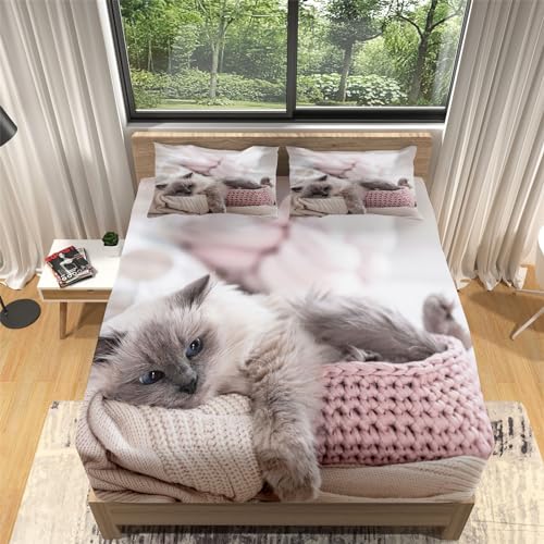 Spannbettlaken Tierische Ragdoll-Katze 180x200 Bettlaken Drucken Weiche Atmungsaktivem Matratzenschoner Mikrofaser Spannbetttuch,Tiefe Tasche 30cm, mit 2 Kissenbezügen 80x80cm von Generic