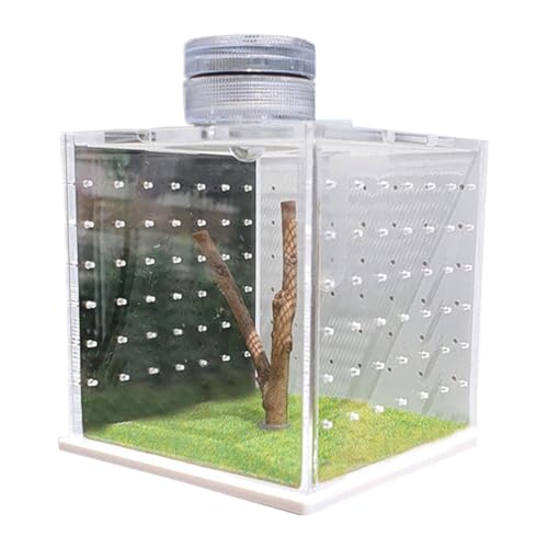 Springspinnengehäuse – Terrarium aus klarem Acryl mit Luftbefeuchter und Replex-Box leicht und Reptil | Frösche, Amphibien, Insekten und Tarentulen, sichert den belüfteten Lebensraum für von Generic