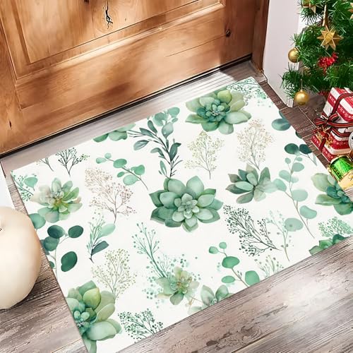 Sukkulenten Fußmatte Schmutzfangmatte Innen 50 X 80 cm rutschfeste Waschbar Fussmatte, Sauberlaufmatte Teppich Für Eingangsbereich, Haustür, Flur, Porch - Grün Aquarell-Illustrationsstil Sukkulenten Fußmatte Schmutzfangmatte Innen 50 X 80 cm rutschfeste Waschbar Fussmatte, Sauberlaufmatte Teppich Für Eingangsbereich, Haustür, Flur, Porch - Grün Aquarell-Illustrationsstil von Generic
