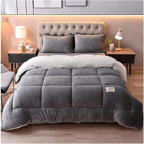 Super Warme Lammwolle Queen Size Quilt Winter Decke Doppelseitige Samt Quilt Verdickte Warme Herbst Frühling Plüsch Bettdecke Kern, A, 150x200cm(3.5kg) von Generic