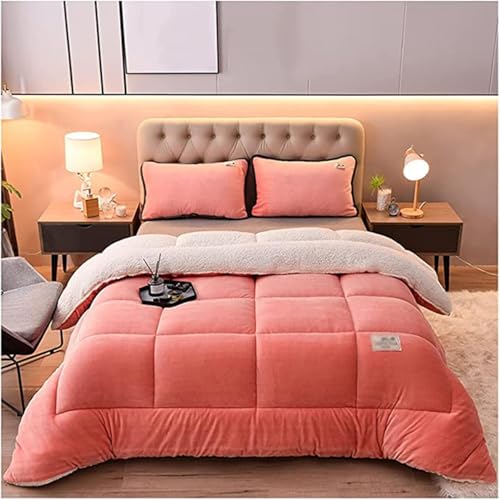 Super Warme Lammwolle Queen Size Quilt Winter Decke Doppelseitige Samt Quilt Verdickte Warme Herbst Frühling Plüsch Bettdecke Kern, F, 200x230cm(4kg) von Generic