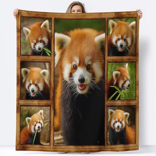 Superweich Warm Mehrfarbig Decke 130 x 150 cm, Quadratischer Bilderrahmen Tiere Bären Leicht Gemütlich Flanell Überwurf Decke für Bett Couch Sofa Büro Dekoration - Damen und Herren von Generic