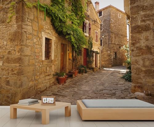 Tapeten im Landhausstil Antiken Europäischen Straßen Wandbild Kopfsteinpflastergassen Wandbilder für Wände Pflanzen Blumen Tapeten für Schlafzimmer Kinder Wohnzimmer 490 X 350 cm von Generic