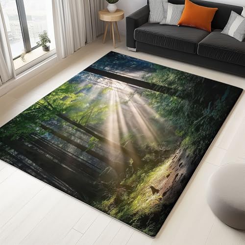 Teppich 80 X 150 cm Natur Lichtstrahl Wald Grün Gold – Weich & Flauschig, Waschbar, rutschfest – Kurzflor Flanell Teppich, Pflegeleicht – Für Schlafzimmer, Wohnzimmer, Flur Teppich 80 X 150 cm Natur Lichtstrahl Wald Grün Gold – Weich & Flauschig, Waschbar, rutschfest – Kurzflor Flanell Teppich, Pflegeleicht – Für Schlafzimmer, Wohnzimmer, Flur von Generic