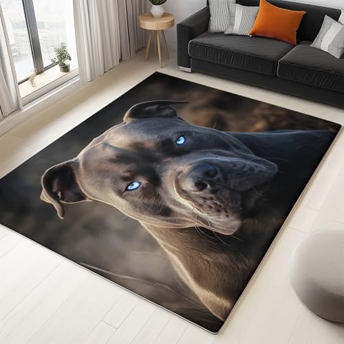 Teppich Flanell 80 X 150 cm Tiere Französische Bulldoggen Süße Haustiere Design, Kurzflor & Flauschig, Waschbar, rutschfest, Weich & Hautfreundlich, Teppich Für Schlafzimmer, Wohnzimmer, Schwarz von Generic