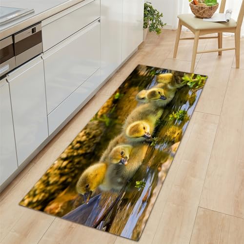 Teppich Läufer Rutschfest 60x150cm, Tier Ente Süß Waschbar Gelb für Flur, Küche, Schlafzimmer von Generic