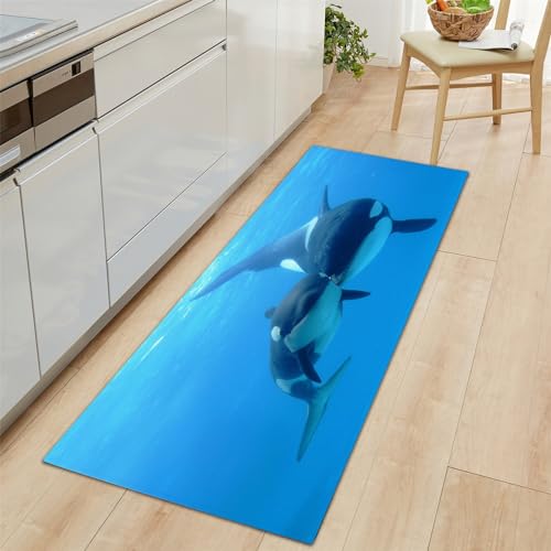 Teppich Läufer Meereslebewesen Delphin Rutschfestes Küchenmatten 60x180cm, Blau Teppiche Waschbare Gummiunterlage Fußmatte, Mikrofaser Eingangsbereich Flur Teppich Teppich Läufer Meereslebewesen Delphin Rutschfestes Küchenmatten 60x180cm, Blau Teppiche Waschbare Gummiunterlage Fußmatte, Mikrofaser Eingangsbereich Flur Teppich von Generic