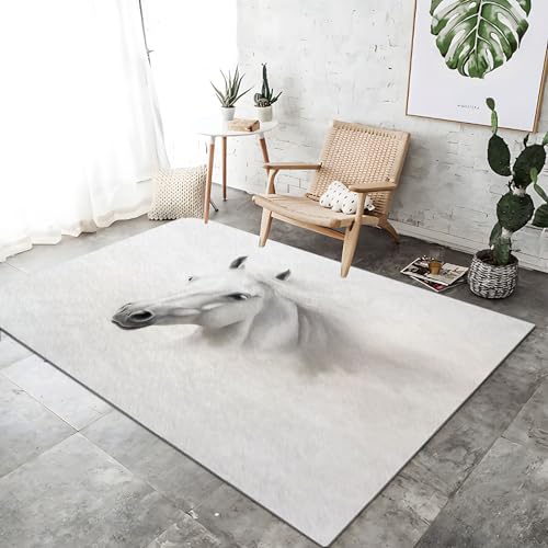 Teppich Moderner Bett für Schlafzimmer 120 x 170 cm Pferd Tier Nahaufnahme Waschbarer Kurzflor Weicher rutschfest Teppiche für Wohnzimmer Büro Bereich Esszimmer Küche, Weiß Grau Teppich Moderner Bett für Schlafzimmer 120 x 170 cm Pferd Tier Nahaufnahme Waschbarer Kurzflor Weicher rutschfest Teppiche für Wohnzimmer Büro Bereich Esszimmer Küche, Weiß Grau von Generic