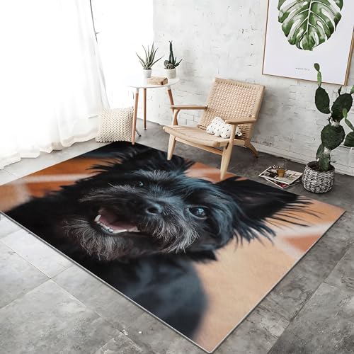 Teppich Moderner Bett für Schlafzimmer 80 x 150 cm Welpe Tiere Fotografie Waschbarer Kurzflor Weicher rutschfest Teppiche für Wohnzimmer Büro Bereich Esszimmer Küche, Schwarz Braunes Teppich Moderner Bett für Schlafzimmer 80 x 150 cm Welpe Tiere Fotografie Waschbarer Kurzflor Weicher rutschfest Teppiche für Wohnzimmer Büro Bereich Esszimmer Küche, Schwarz Braunes von Generic
