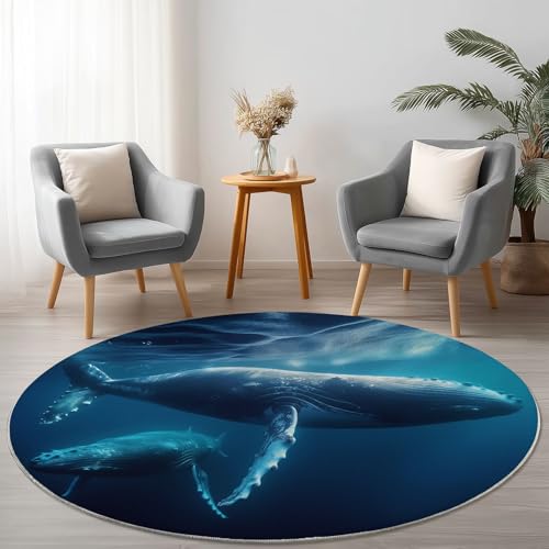 Teppich Rund 160 cm Waschbare Teppiche Natur Fotografie Tiere Wale Bedruckter Runder Teppiche rutschfest Carpet, Dunkelblau Teppich Schlafzimmer Kinderzimmer Teppich Rund 160 cm Waschbare Teppiche Natur Fotografie Tiere Wale Bedruckter Runder Teppiche rutschfest Carpet, Dunkelblau Teppich Schlafzimmer Kinderzimmer von Generic