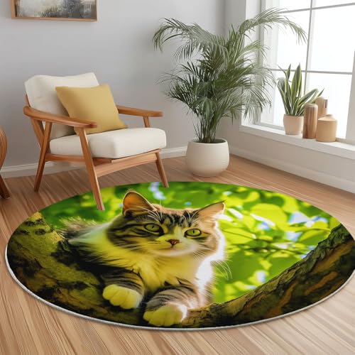 Teppich Rund 180 cm Natur Katze Blätter Grün – Rutschfester Kurzflor Teppich Für Wohnzimmer Schlafzimmer Kinderzimmer Büro Spielzimmer Waschbar Modern Dekorativ Weich Teppich Rund 180 cm Natur Katze Blätter Grün – Rutschfester Kurzflor Teppich Für Wohnzimmer Schlafzimmer Kinderzimmer Büro Spielzimmer Waschbar Modern Dekorativ Weich von Generic