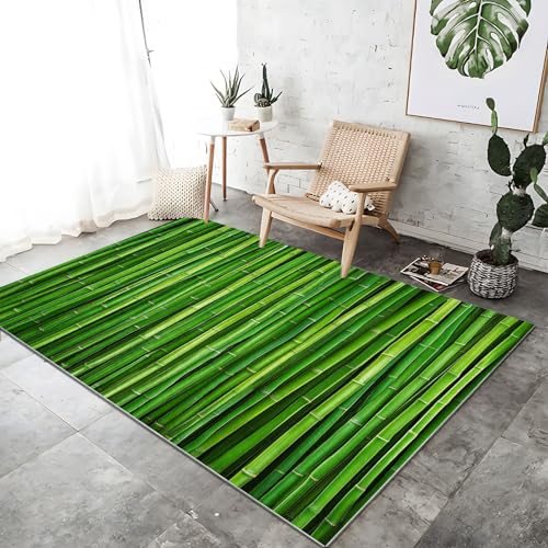 Teppich Schlafzimmer Pflegeleicht - Smaragdgrün Teppich Kurzflor Waschbar Bodenmatte 160 x 230 cm für Wohnzimmer und Jugendzimmer Jungen Einfach Spa-Pflanzen Bambus Personalisiert Teppiche Teppich Schlafzimmer Pflegeleicht - Smaragdgrün Teppich Kurzflor Waschbar Bodenmatte 160 x 230 cm für Wohnzimmer und Jugendzimmer Jungen Einfach Spa-Pflanzen Bambus Personalisiert Teppiche von Generic
