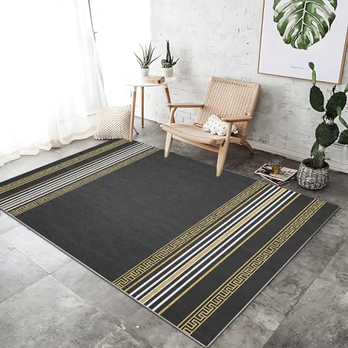 Teppich Wohnzimmer Waschbar, Kurzflor Weich Rutschfester Griechisch Laubsägearbeit Weiße Linien Bedruckter Teppich, Dunkelgrau Gold Teppiche Schlafzimmer Wohnzimmer Esszimmer, 140 x 200 cm Teppich Wohnzimmer Waschbar, Kurzflor Weich Rutschfester Griechisch Laubsägearbeit Weiße Linien Bedruckter Teppich, Dunkelgrau Gold Teppiche Schlafzimmer Wohnzimmer Esszimmer, 140 x 200 cm von Generic